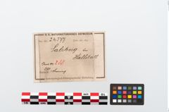 Etikett zu Bronzearmreif (NHMW-PRAE-024577)